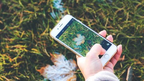 手机看片国产福利永久,手机看片福利无限,带你领略视听盛宴